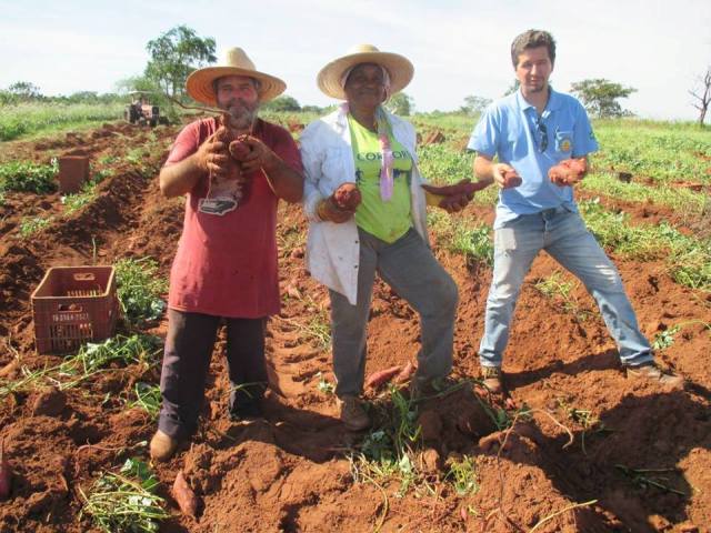 Assentados começam colheita de batata-doce de projeto idealizado pela Coater