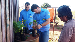 COATER orienta e desenvolve a Cadeia Produtiva de Vegetais para Fomento a Grupos Produtivos