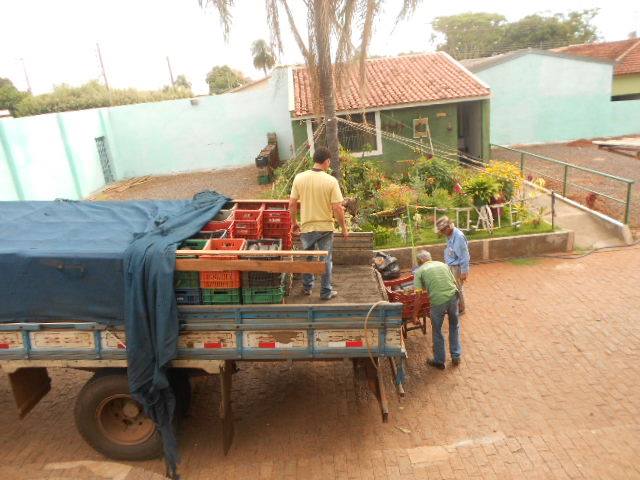 Coater recebe muda de abacaxi através do Projeto “Abraço Verde”