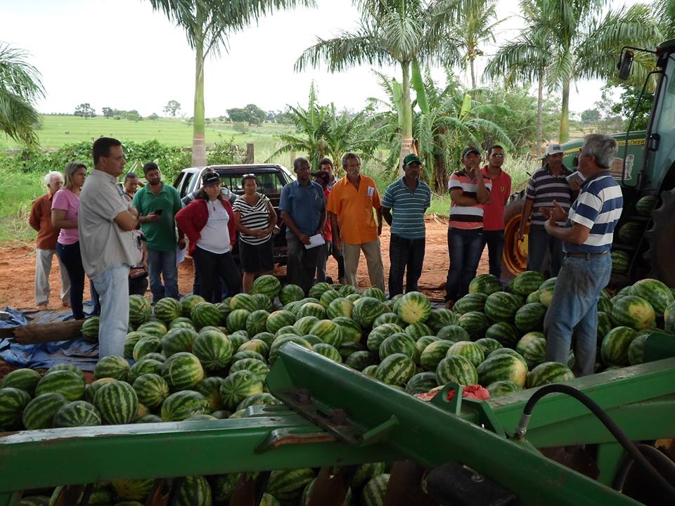 Dia de Campo – Cadeia Produtiva de Vegetais – Cultura da Melancia