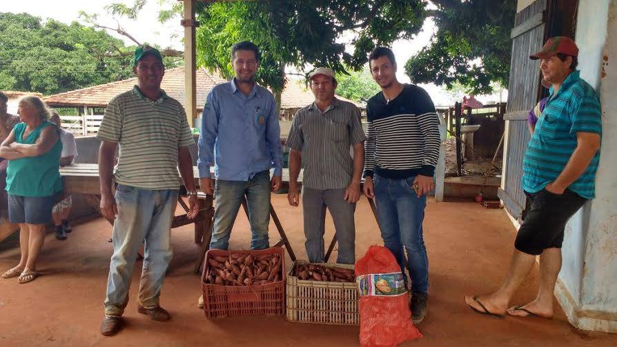 Entrega de Batatas Sementes - PA União da Vitoria