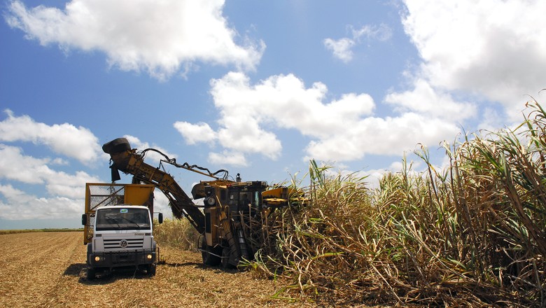 Exceção, agropecuária tem saldo positivo de empregos formais em maio