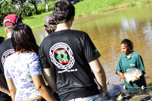 Pele curtida de peixes tem mercado promissor na produção de vestuário, acessórios e até móveis