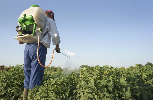 Pesquisadora mapeia estados mais contaminados por agrotóxicos no Brasil