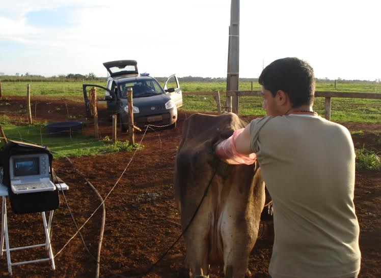 Profissionais da COATER fazem balanço anual e anunciam serviços veterinários.