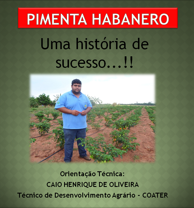 Projeto Pimenta Habanero