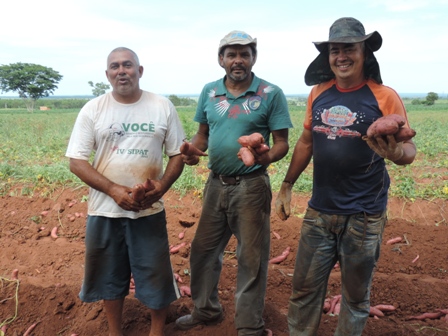 Proposta de Boa Prática de Ater da COATER - Projeto Batata Doce